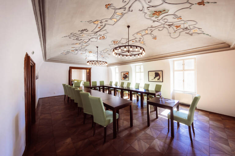 10er Haus_barocker Seminarraum_39_quer(c) P. Schmatz_Steininger Weinwelt