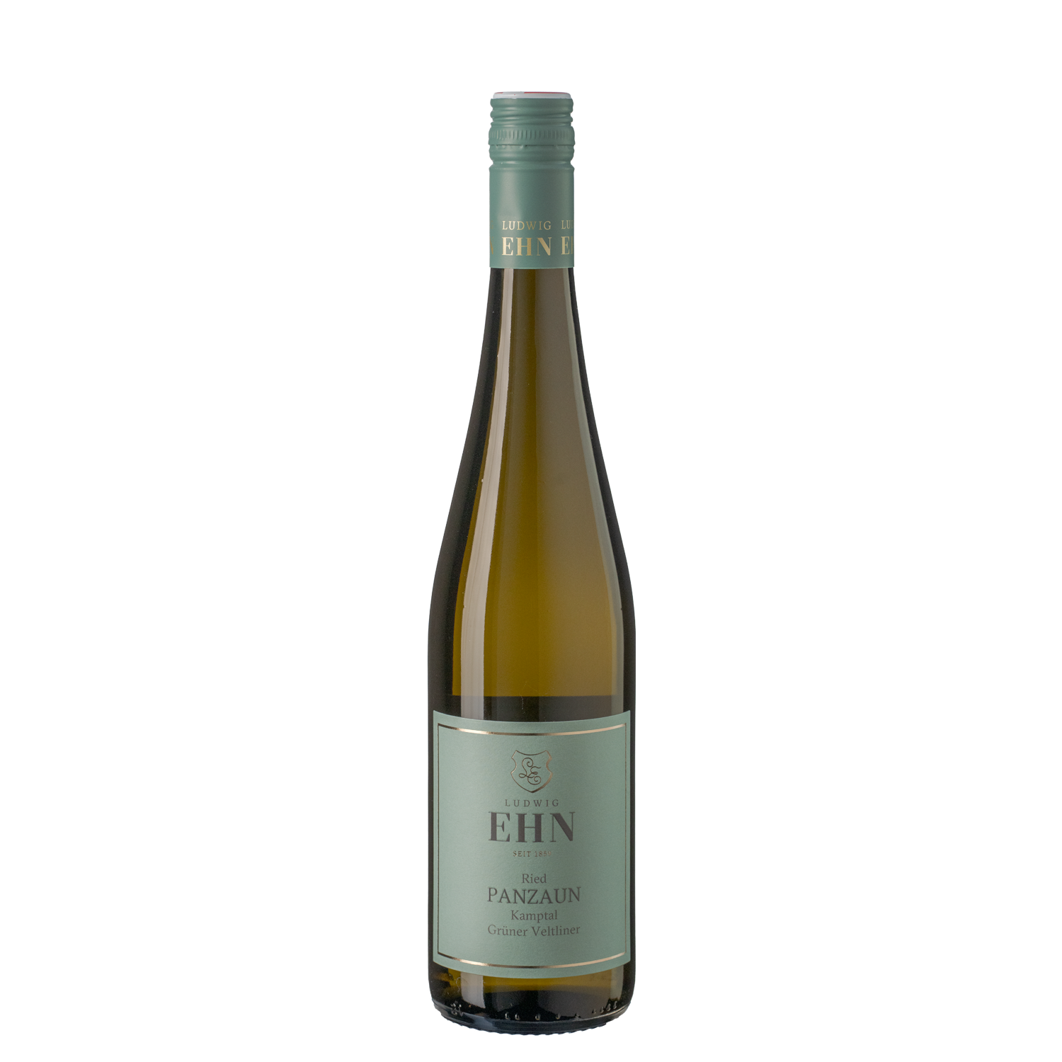 Ehn Grüner Veltliner Ried Panzuaun 2025