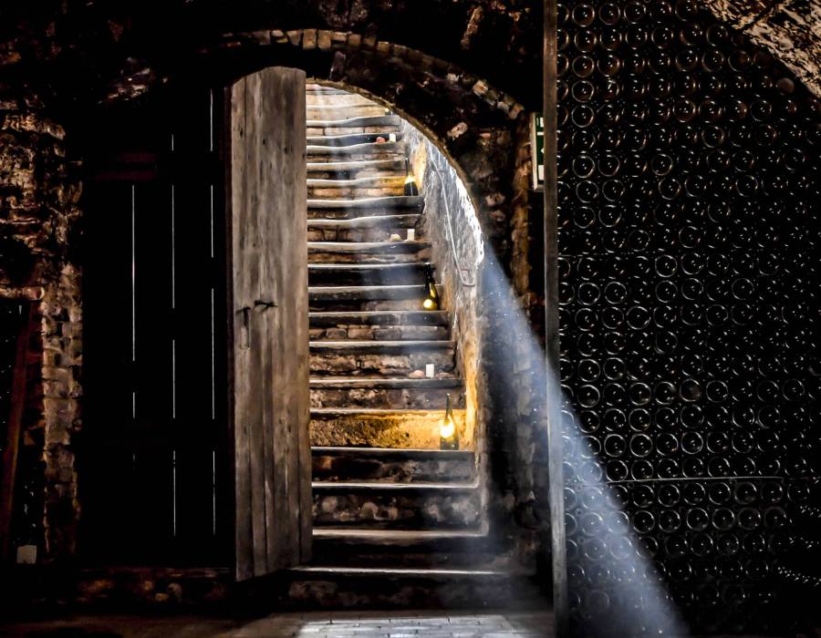Steininger Weinwelt_Treppe in den Weinkeller ©Steininger Weinwelt_POV.at