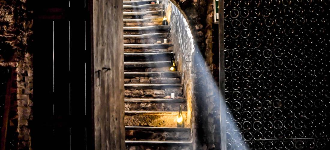 Steininger Weinwelt_Treppe in den Weinkeller ©Steininger Weinwelt_POV.at