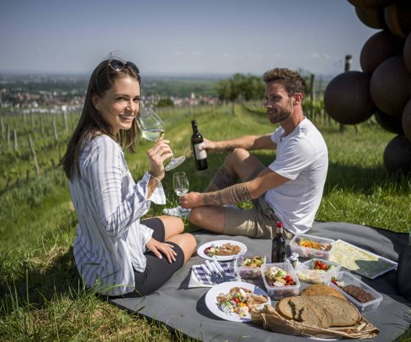 Weingartenpicknick Langenlois_quer_0007574 (c) R. Herbst_Ursin Haus