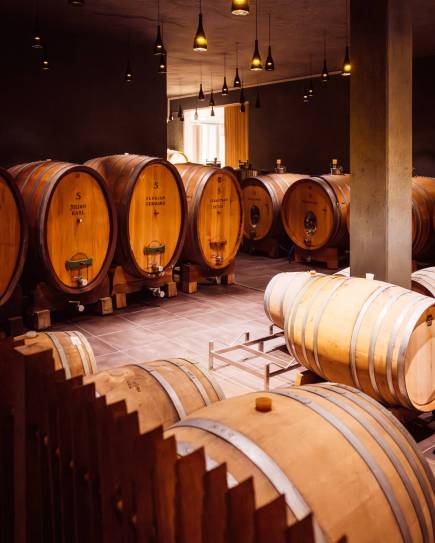 druck_cPamelaSchmatz-3095