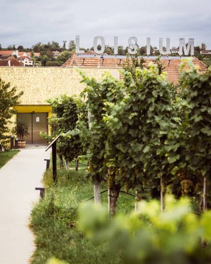 druck_cPamelaSchmatz-3263