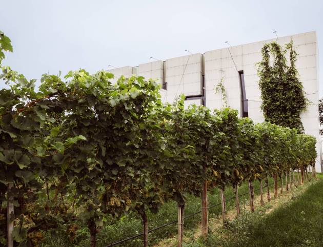 druck_cPamelaSchmatz-3275